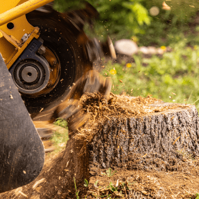 Stump Grinding